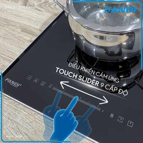 Bếp Từ Fandi FD-229I Bếp Từ Fandi FD-229I