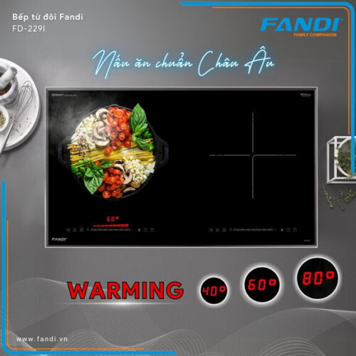 Bếp Từ Fandi FD-229I Bếp Từ Fandi FD-229I