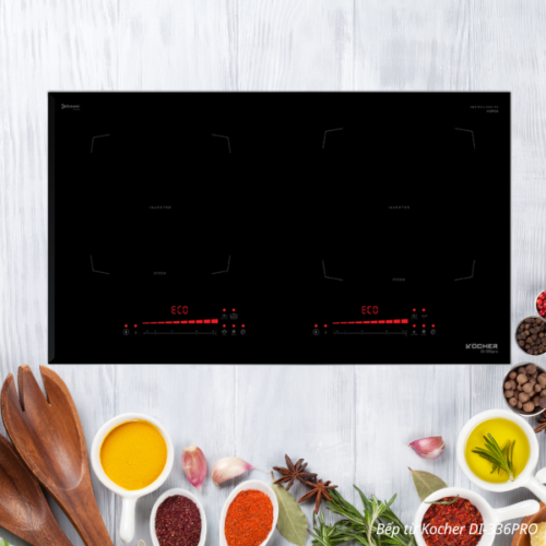 Bếp Từ Kocher Di 336 Pro (4)