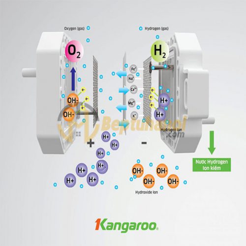 Máy lọc nước Kangaroo Hydrogen KG100ES1