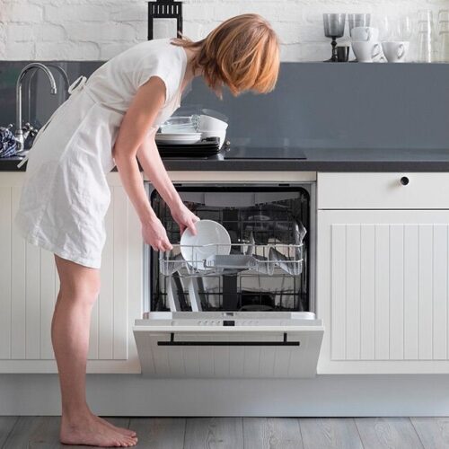 Texgio Dishwasher Tgbi036t