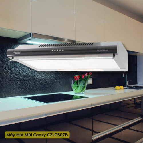 Combo Bếp 6999k (2)